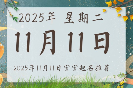 2025年11月11日出生的宝宝五行缺什么
