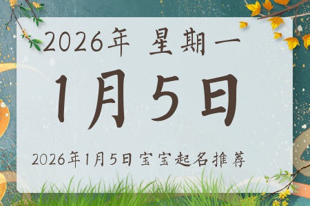 2026��1��5�ճ����ı�������ȱʲô