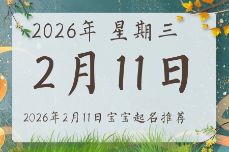 2026年2月11日出生的宝宝五行缺什么
