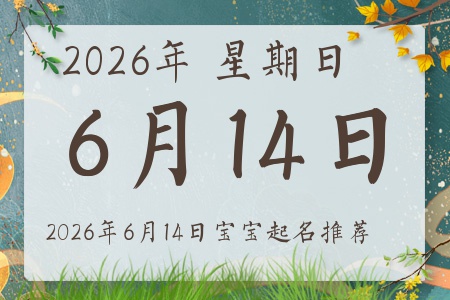 2026��6��14�ճ����ı�������ȱʲô