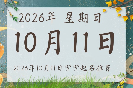 2026��10��11�ճ����ı�������ȱʲô