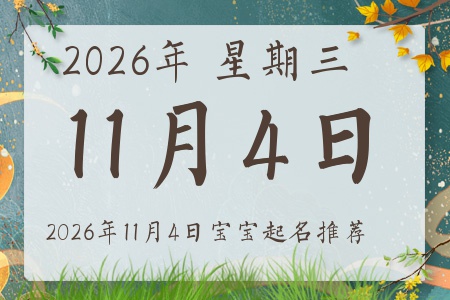 2026年11月4日出生的宝宝五行缺什么
