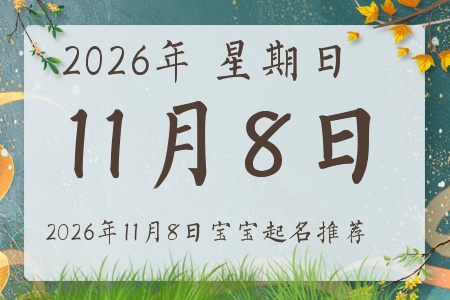2026年11月8日出生的宝宝五行缺什么